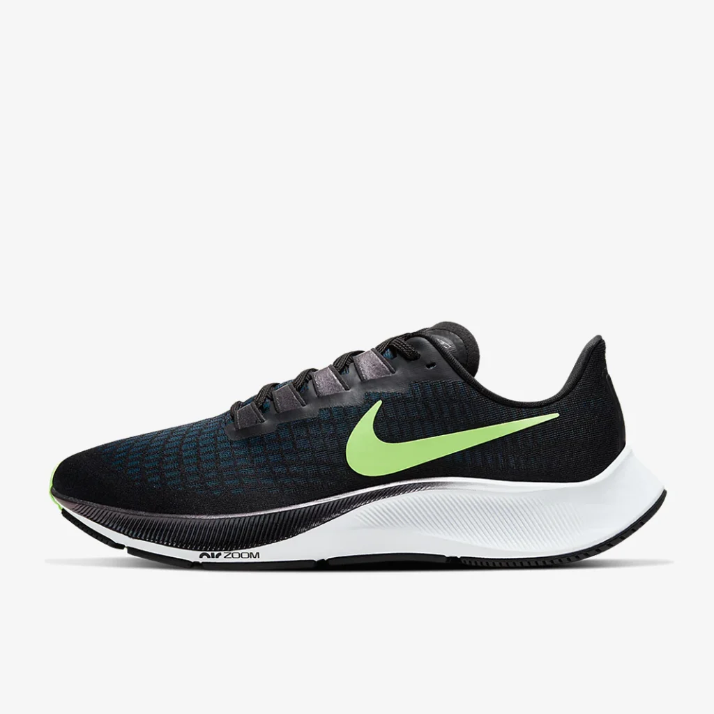 The Chronicles of My Running Shoes 2002–2026 nike pegasus 37 2