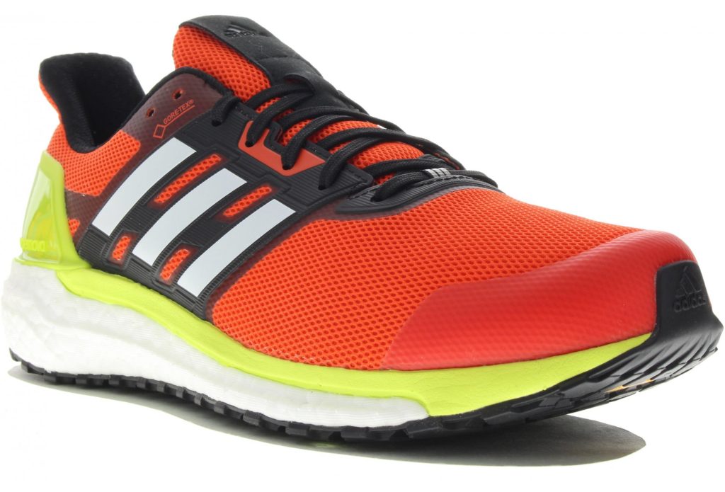 The Chronicles of My Running Shoes 2002–2026 adidas supernova gore tex 1
